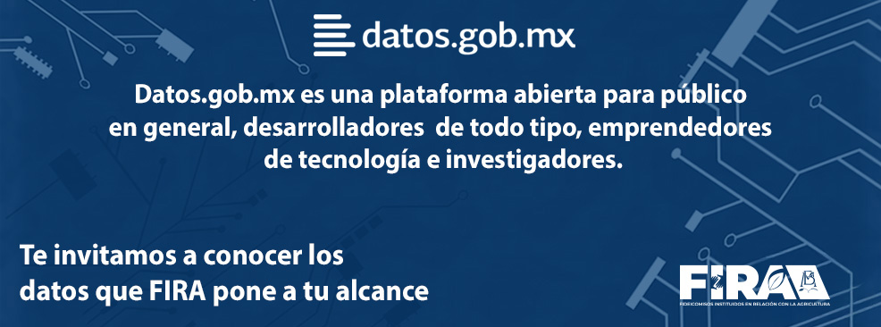 Datos Abiertos