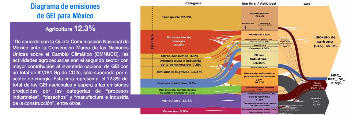  Grafica de Comportamiento Mercados de Carbono