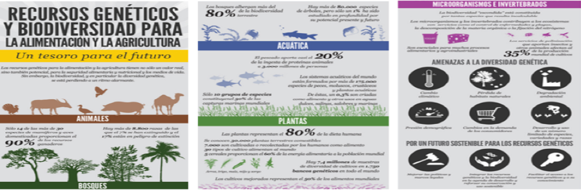  Grafica de Comportamiento Mercados de Carbono