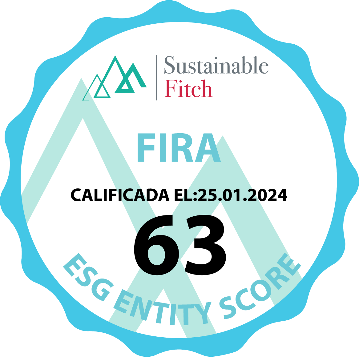 Sustainable Fitch 2024
