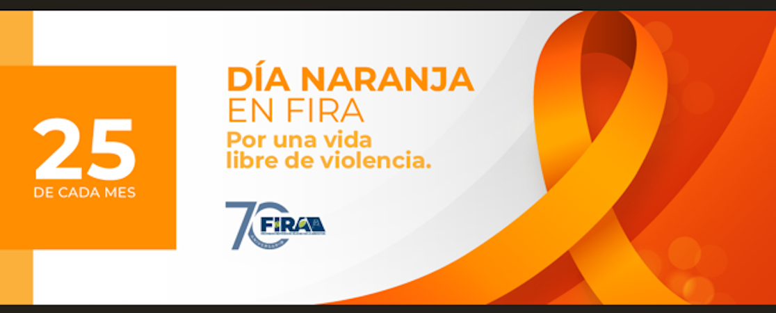 Campaña 2