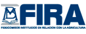 FIRA