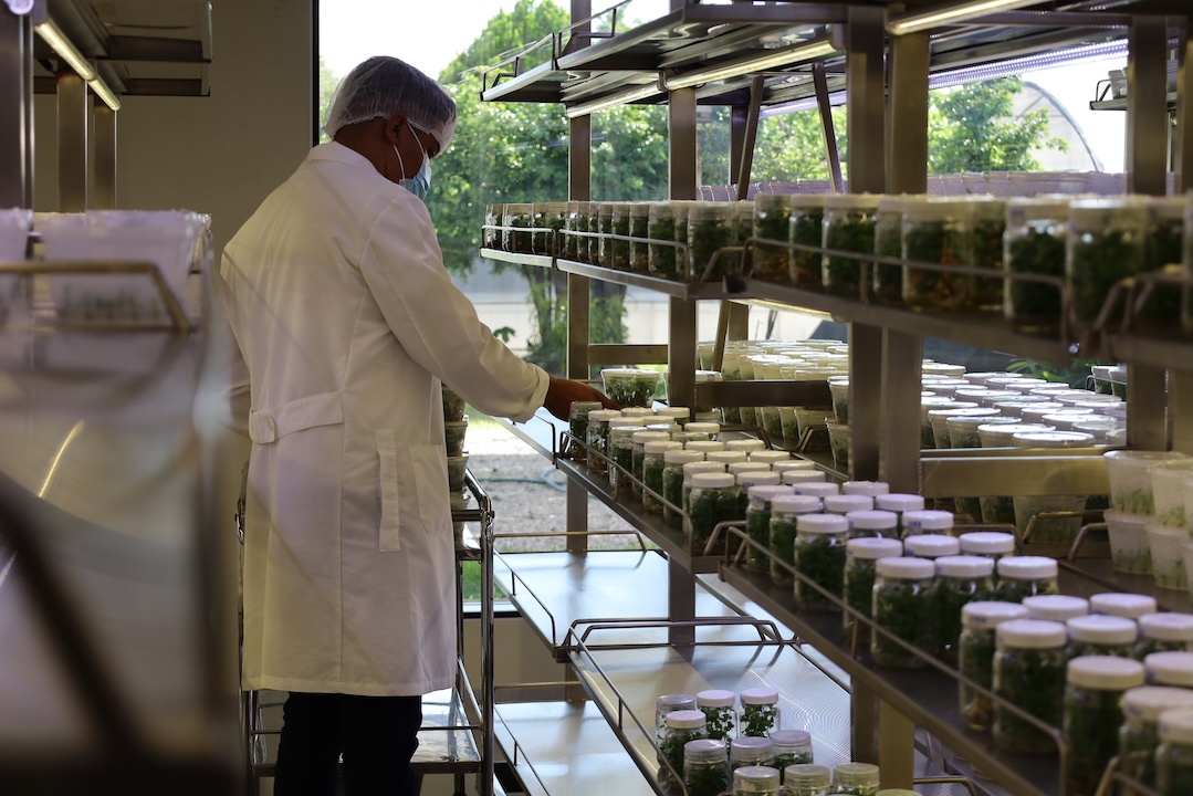 Interior del laboratorio