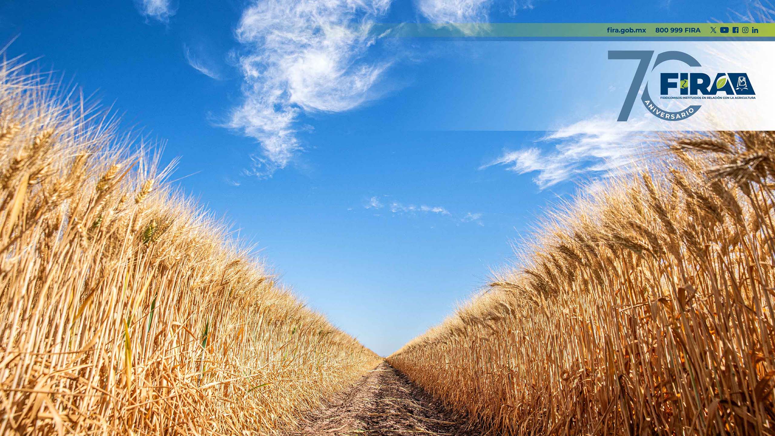 fondo de pantalla