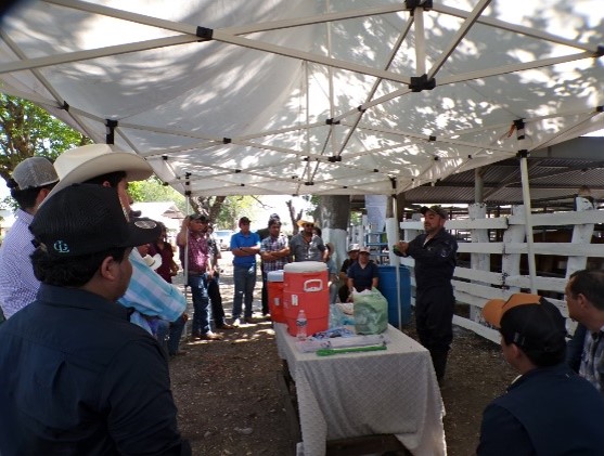 Capacitación de productores