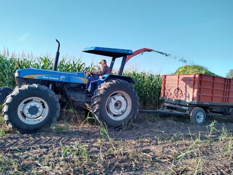 Unidad Agrícola
