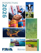 Portada de: Perspectivas 2026